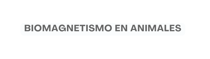 biomagnetismo en animales