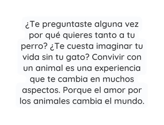 Te preguntaste alguna vez por qué quieres tanto a tu perro Te cuesta imaginar tu vida sin tu gato Convivir con un animal es una experiencia que te cambia en muchos aspectos Porque el amor por los animales cambia el mundo